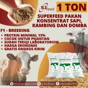 Pakan Konsentrat Sapi, Kambing, Domba Tinggi Nutrisi SUPERFEED - 1 TON - F1-Breeding, Kuningan